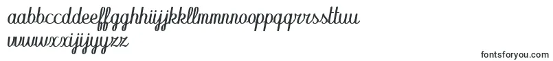 Abecedary Italic-fontti – hollantilaiset fontit
