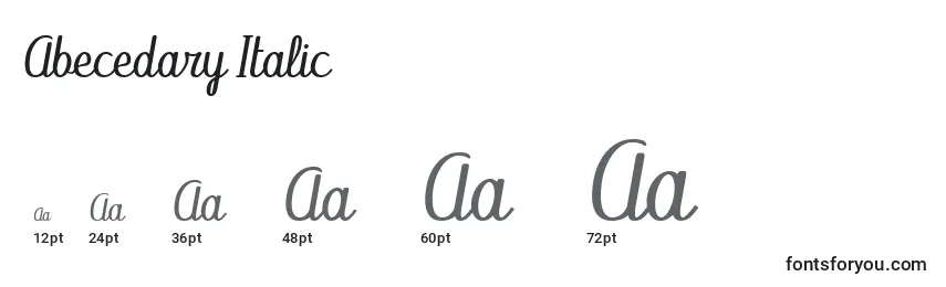 Размеры шрифта Abecedary Italic
