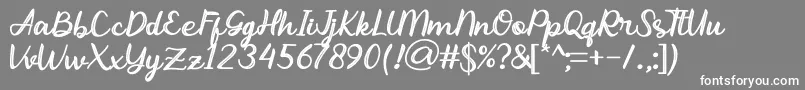 Abhayas Light Font – White Fonts on Gray Background