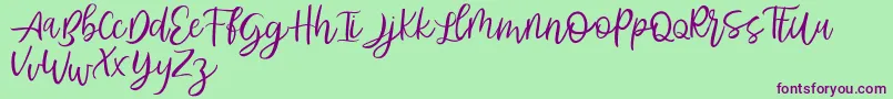 Abhyaksa FREE Font – Purple Fonts on Green Background