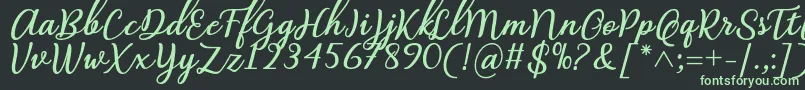 Abilya Regular Font by 7NTypes Font – Green Fonts on Black Background