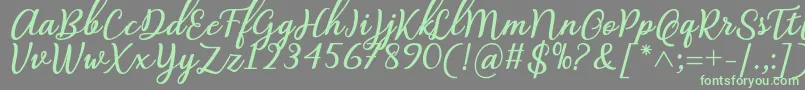 Abilya Regular Font by 7NTypes Font – Green Fonts on Gray Background