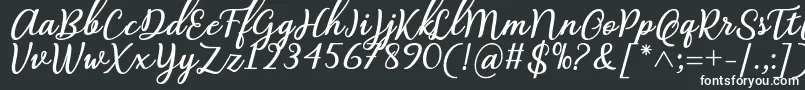 フォントAbilya Regular Font by 7NTypes – 黒い背景に白い文字