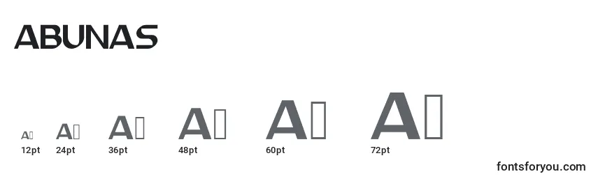Размеры шрифта ABUNAS
