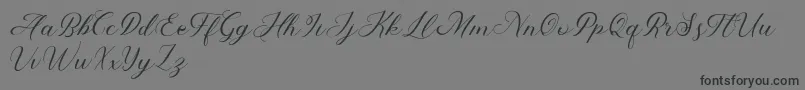 Abundant Script Demo-Schriftart – Schwarze Schriften auf grauem Hintergrund