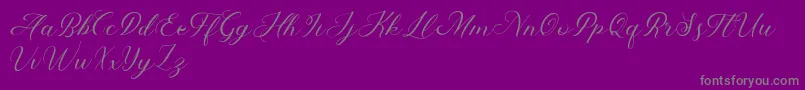 Abundant Script Demo-Schriftart – Graue Schriften auf violettem Hintergrund