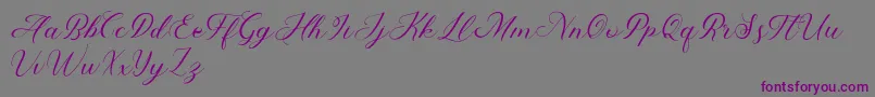 Abundant Script Demo-Schriftart – Violette Schriften auf grauem Hintergrund