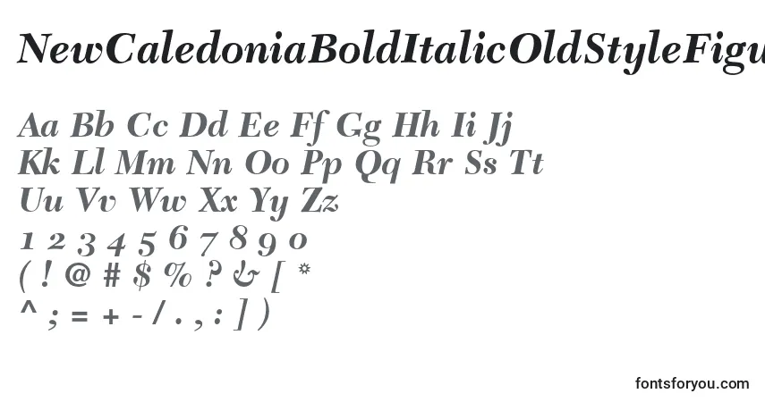 Schriftart NewCaledoniaBoldItalicOldStyleFigures – Alphabet, Zahlen, spezielle Symbole