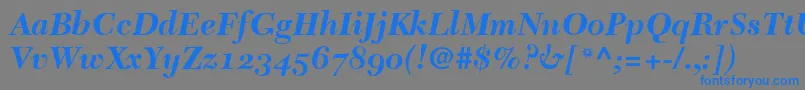 NewCaledoniaBoldItalicOldStyleFigures Font – Blue Fonts on Gray Background