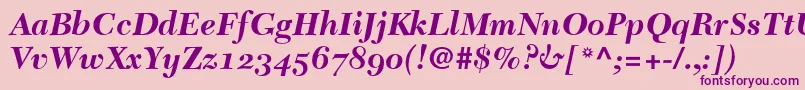 NewCaledoniaBoldItalicOldStyleFigures Font – Purple Fonts on Pink Background