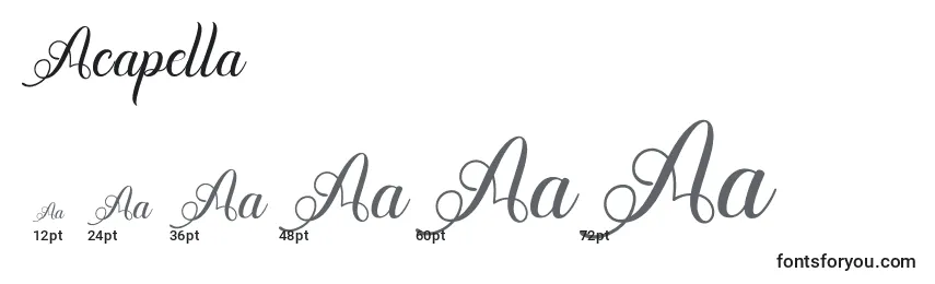 Acapella Font Sizes