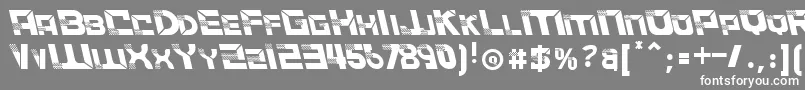 ACCELERARELeftalic Font – White Fonts on Gray Background