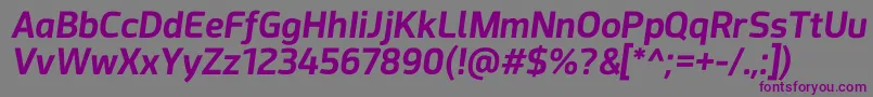 Acephimere Bold Italic-fontti – violetit fontit harmaalla taustalla