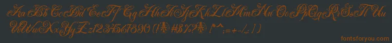 Acuentre Personal Use Only Font – Brown Fonts on Black Background