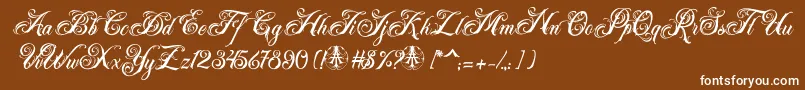 フォントAcuentre Personal Use Only – 茶色の背景に白い文字