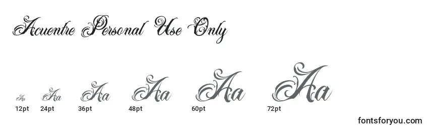 Acuentre Personal Use Only Font Sizes