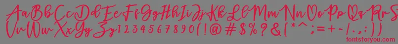 adamd Font – Red Fonts on Gray Background