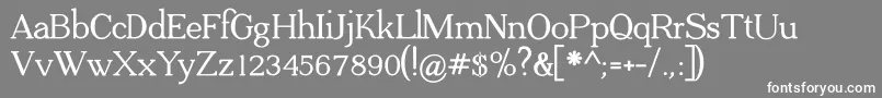 ADega Serif Bold Font – White Fonts on Gray Background