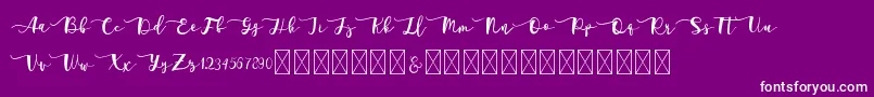 Adelarsio Font – White Fonts on Purple Background