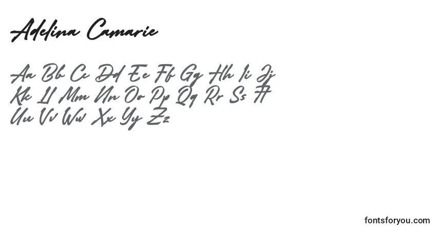 Шрифт Adelina Camarie – алфавит, цифры, специальные символы