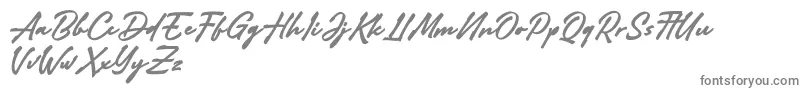 Adelina Camarie-Schriftart – Graue Schriften