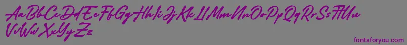 Adelina Camarie-Schriftart – Violette Schriften auf grauem Hintergrund