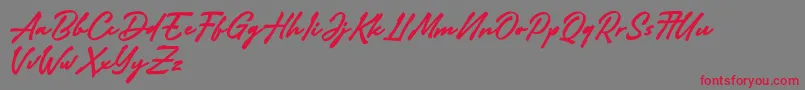 Adelina Camarie Font – Red Fonts on Gray Background