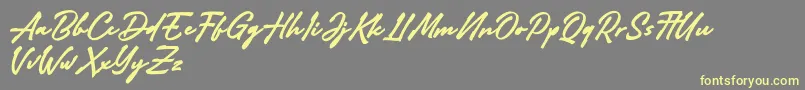Adelina Camarie Font – Yellow Fonts on Gray Background