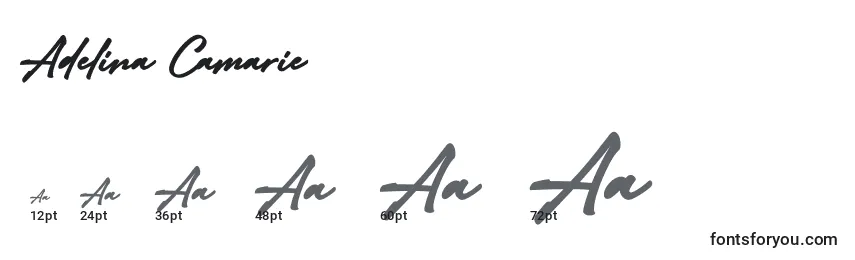 Размеры шрифта Adelina Camarie