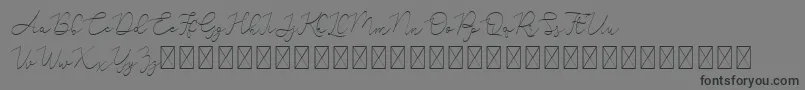 fuente Adelya – Fuentes Negras Sobre Fondo Gris
