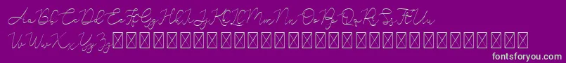 Adelya Font – Green Fonts on Purple Background