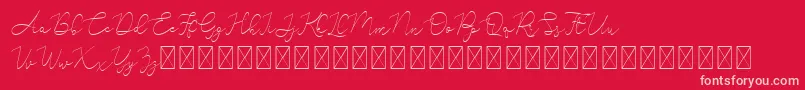 fuente Adelya – Fuentes Rosadas Sobre Fondo Rojo