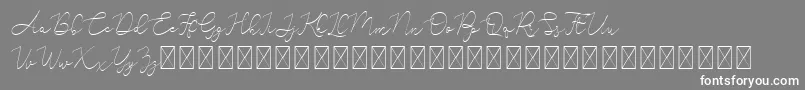 Adelya Font – White Fonts on Gray Background