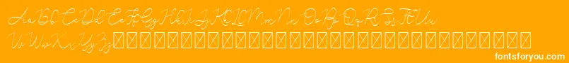 フォントAdelya – オレンジの背景に白い文字