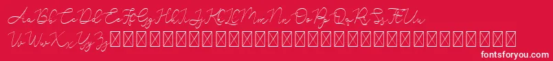 フォントAdelya – 赤い背景に白い文字