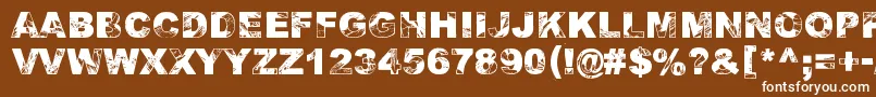 Adieresis, Odieresis  Aring 2 Font – White Fonts on Brown Background