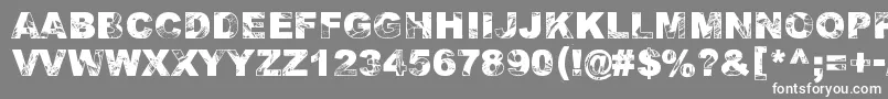 フォントAdieresis, Odieresis  Aring 2 – 灰色の背景に白い文字