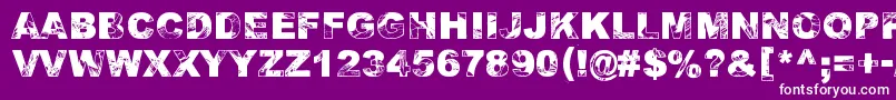 Adieresis, Odieresis  Aring 2 Font – White Fonts on Purple Background