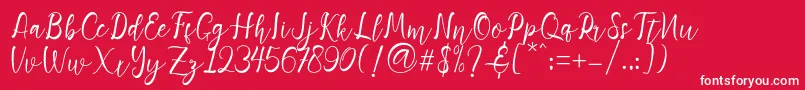 Adiescode Font – White Fonts on Red Background