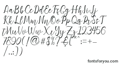 Adiescode font – beautiful Fonts