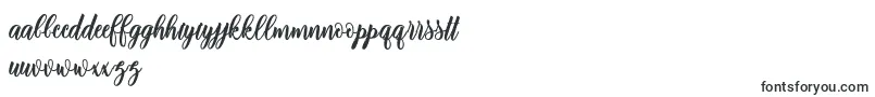 adinda script Font – Frisian Fonts