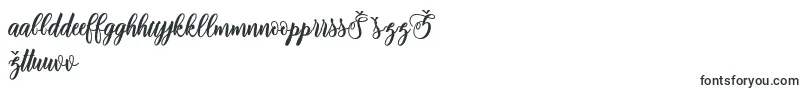 Czcionka adinda script – estońskie czcionki