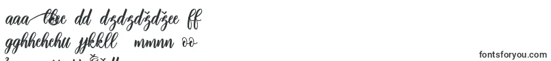 adinda script Font – Slovak Fonts
