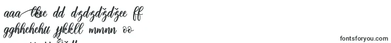 More about adinda script Font adinda script Font – Slovak Fonts