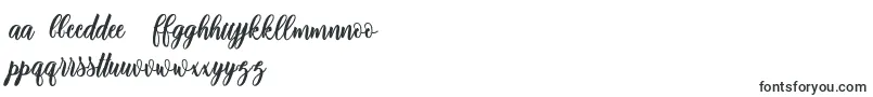 adinda script Font – Macedonian Fonts