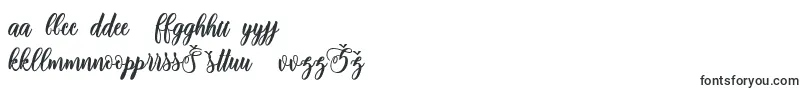 adinda script Font – Lithuanian Fonts