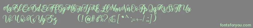 Czcionka adinda script – zielone czcionki na szarym tle