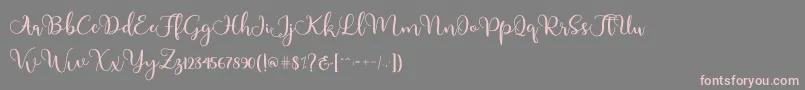 Adinda Font – Pink Fonts on Gray Background