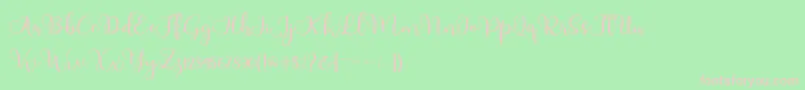 フォントAdinda – 緑の背景にピンクのフォント