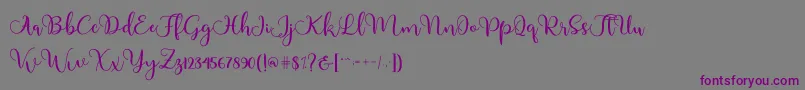 Шрифт Adinda – фиолетовые шрифты на сером фоне